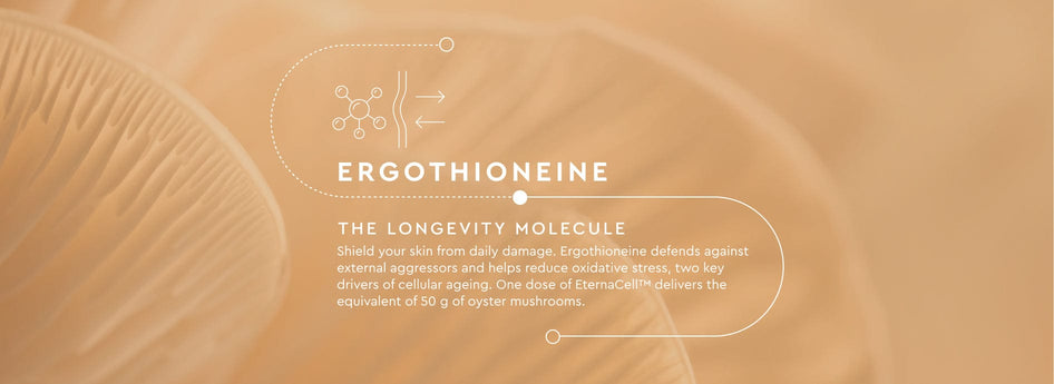 Text about ergothioneine on a brown background with molecular structure illustration