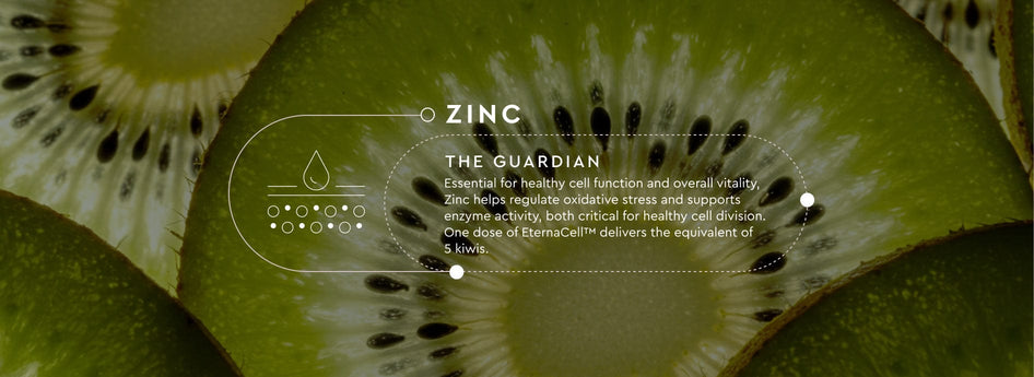 Close-up of a kiwi fruit with text overlay about zinc