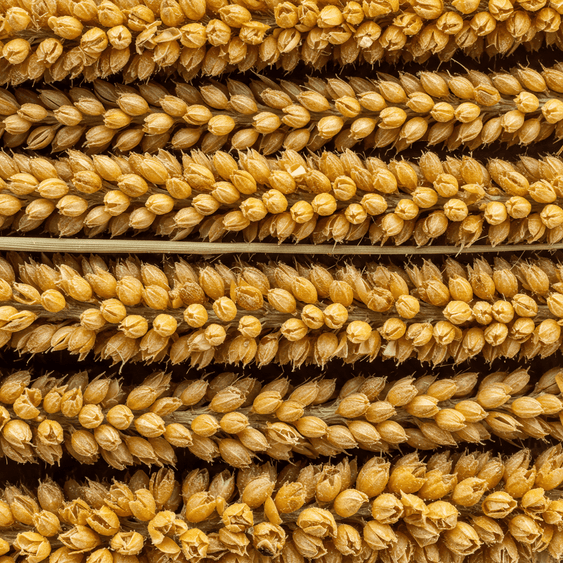 Deeper Beauty: Superfoods