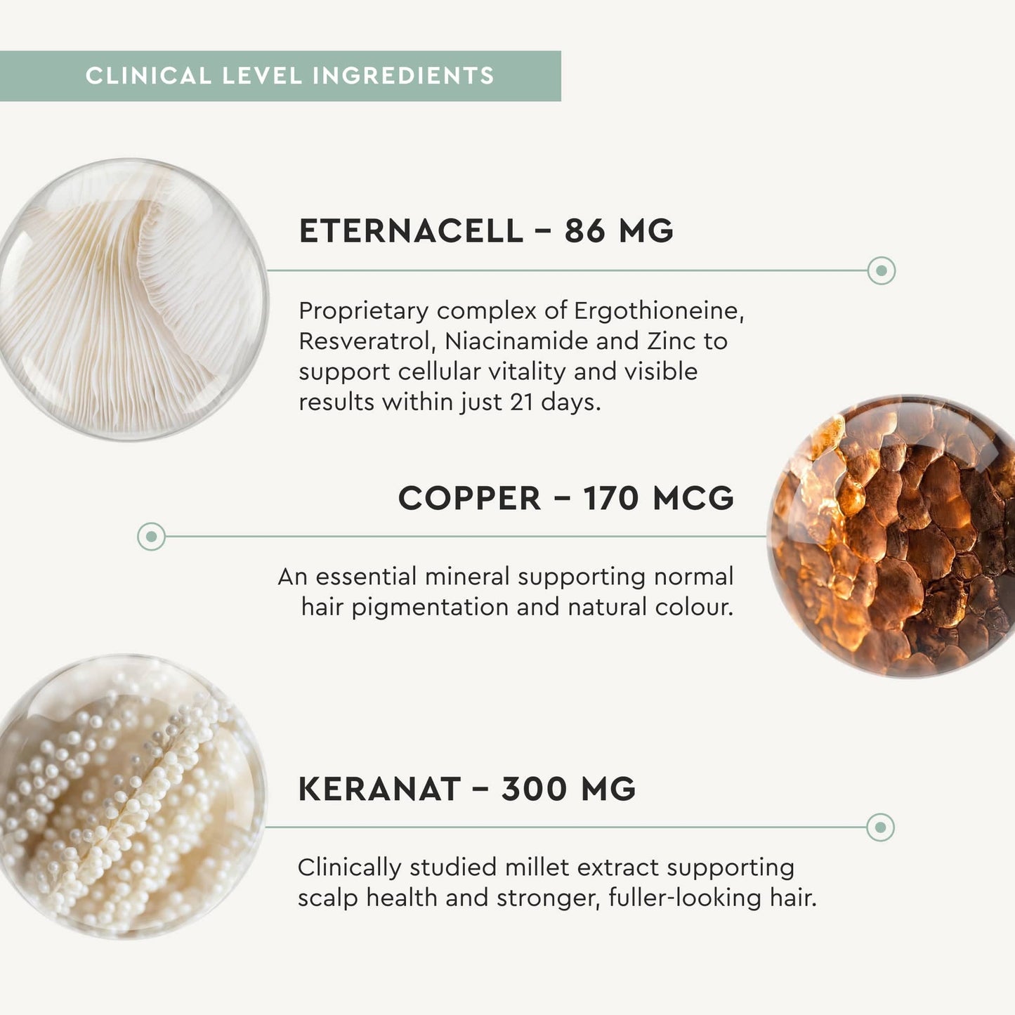 Product label with clinical level ingredients including Eternacell, Copper, and Keranat on a white background.